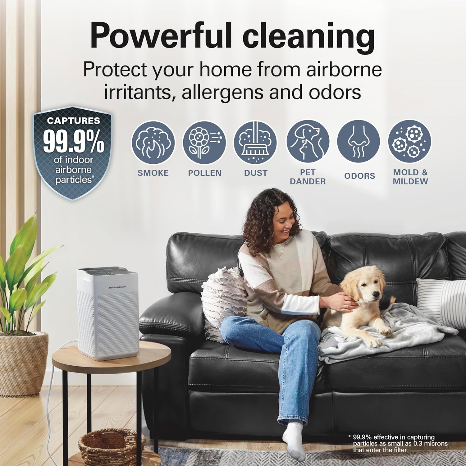 Hamilton Beach Air Purifier For Home With 2 TrueAir EverLasting Reusable Filters, For Medium Rooms Up To 827 sq. ft., Protects From Allergens, Odors, Irritants, Dust, Smoke, Pollen, White (20150) - Image 4
