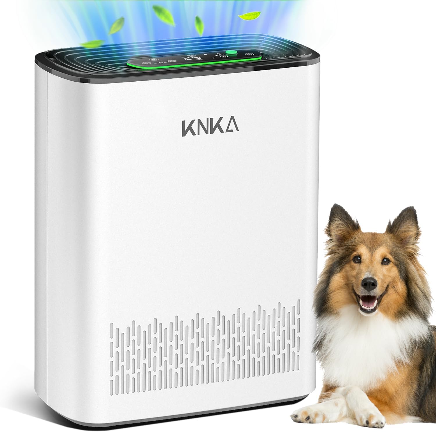 best rated air purifiers