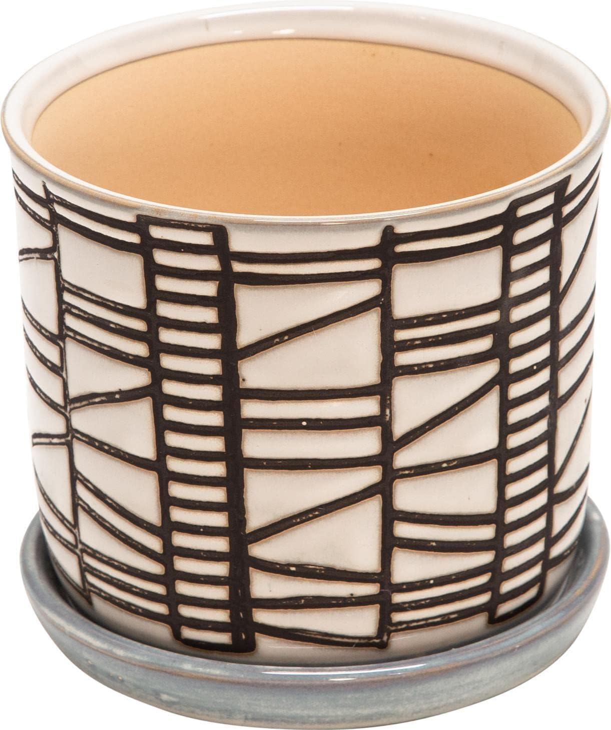 popular indoor plants and pots