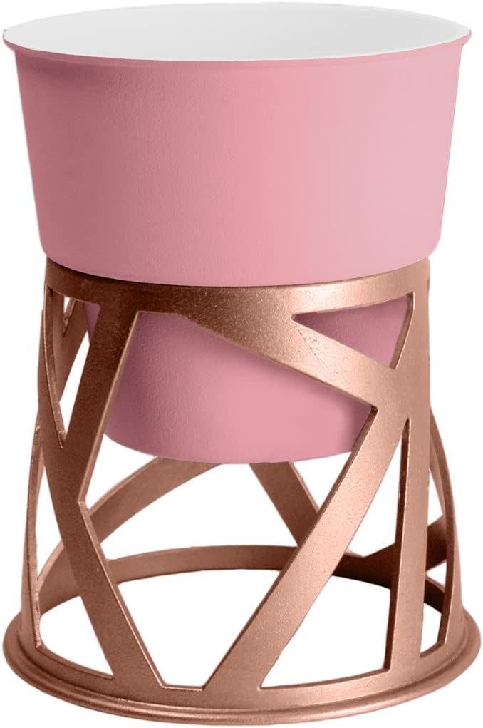 popular indoor plants and pots